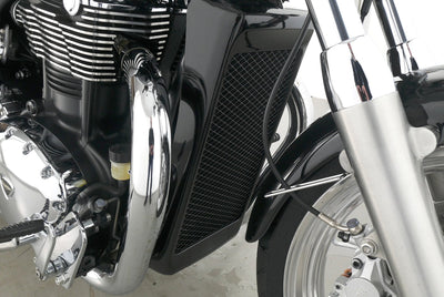 TRIUMPH THUNDERBIRD 1600