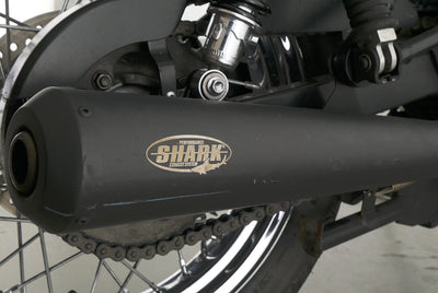 TRIUMPH BONNEVILLE T100