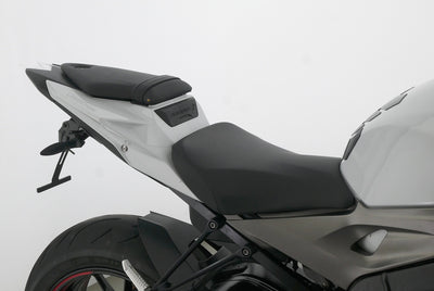 BMW S 1000 R