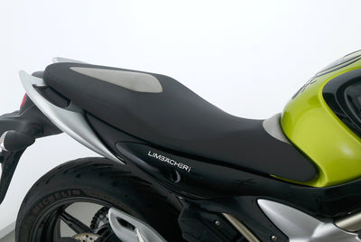 SUZUKI SFV 650 GLADIUS