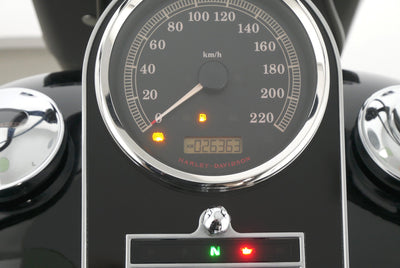 HARLEY DAVIDSON SOFTAIL FAT BOY LOW