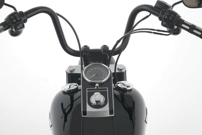 HARLEY DAVIDSON SOFTAIL FAT BOY LOW