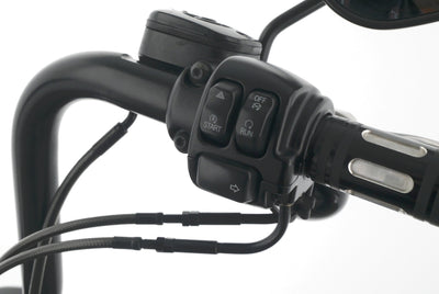 HARLEY DAVIDSON SOFTAIL FAT BOY LOW