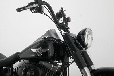 HARLEY DAVIDSON SOFTAIL FAT BOY LOW