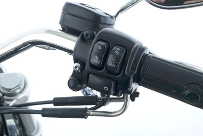 HARLEY DAVIDSON DYNA LOW RIDER