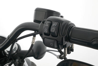 HARLEY DAVIDSON SPORTSTER XL 1200 48 FORTY