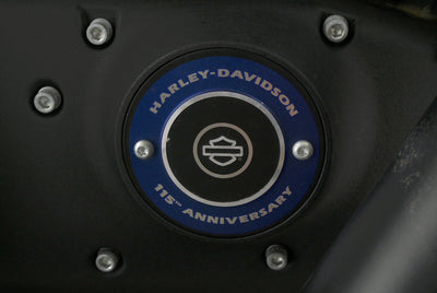 HARLEY DAVIDSON SPORTSTER XL 1200 48 FORTY