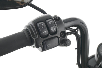 HARLEY DAVIDSON SPORTSTER XL 1200 48 FORTY