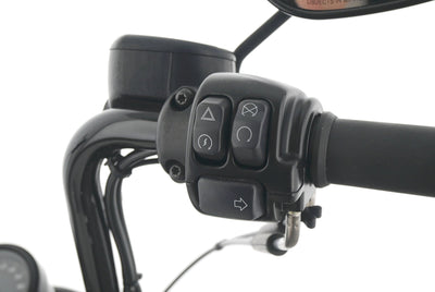 HARLEY DAVIDSON SPORTSTER XL 1200 48 FORTY