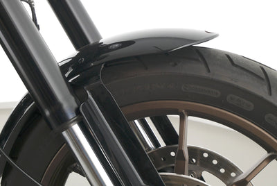 HARLEY DAVIDSON SOFTAIL LOW RIDER S