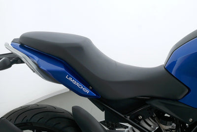 BMW G 310 R