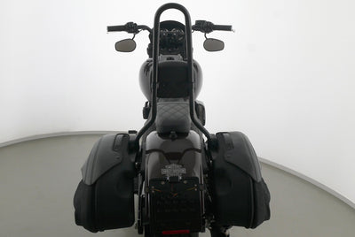 HARLEY DAVIDSON SOFTAIL LOW RIDER S