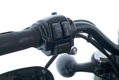 HARLEY DAVIDSON SPORTSTER XL 1200 48 FORTY