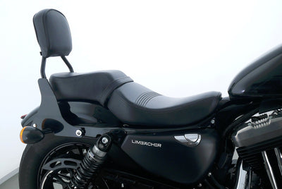 HARLEY DAVIDSON SPORTSTER XL 1200 48 FORTY