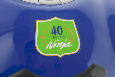 KAWASAKI ZX 4 RR ANNIVERSARY