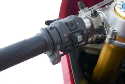 DUCATI 1299 PANIGALE R FINAL EDITION