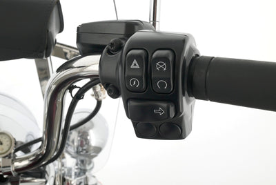 HARLEY DAVIDSON ROAD KING 107