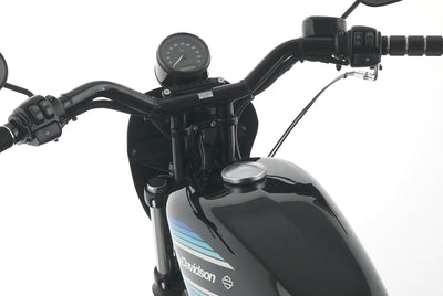 HARLEY DAVIDSON SPORTSTER XL 1200 NS IRON