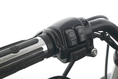 HARLEY DAVIDSON SPORTSTER XL 883 N IRON