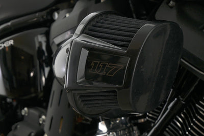 HARLEY DAVIDSON SOFTAIL LOW RIDER ST