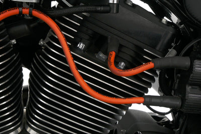 HARLEY DAVIDSON DYNA LOW RIDER S
