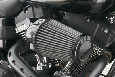 HARLEY DAVIDSON DYNA LOW RIDER S