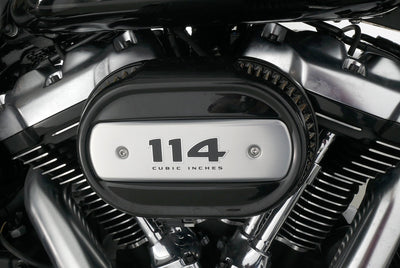 HARLEY DAVIDSON SOFTAIL FAT BOY 114