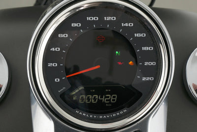 HARLEY DAVIDSON SOFTAIL FAT BOY 114