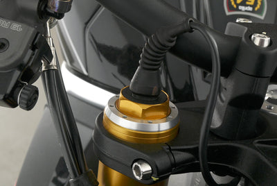 APRILIA TUONO V4 FACTORY