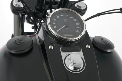 HARLEY DAVIDSON DYNA FAT BOB