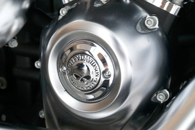 HARLEY DAVIDSON SOFTAIL FAT BOY 114