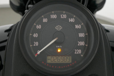 HARLEY DAVIDSON DYNA LOW RIDER S