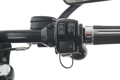 HARLEY DAVIDSON DYNA LOW RIDER S