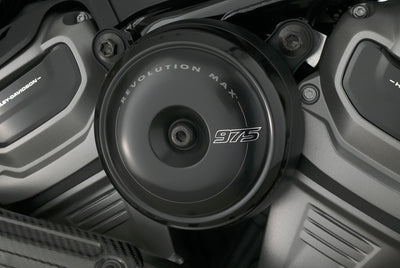 HARLEY DAVIDSON NIGHTSTER SPECIAL