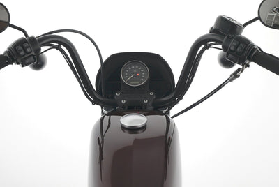 HARLEY DAVIDSON SPORTSTER XL 1200 NS IRON