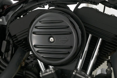 HARLEY DAVIDSON SPORTSTER XL 1200 NS IRON