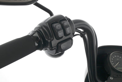 HARLEY DAVIDSON SPORTSTER XL 1200 NS IRON