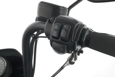 HARLEY DAVIDSON SPORTSTER XL 1200 NS IRON