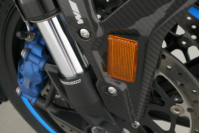 BMW M 1000 R
