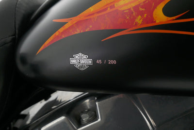 HARLEY DAVIDSON DYNA FAT BOB
