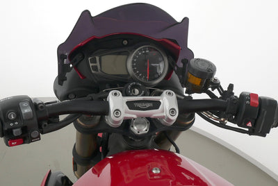 TRIUMPH SPEED TRIPLE S