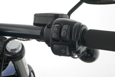 HARLEY DAVIDSON SOFTAIL BREAKOUT 114