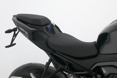 BMW S 1000 R