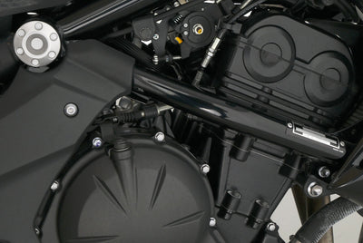 KAWASAKI ER 6 N
