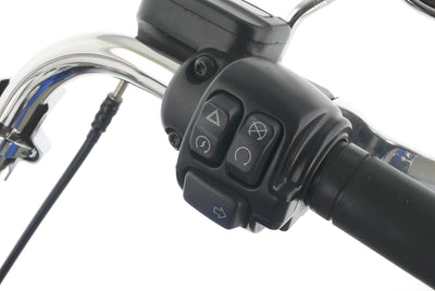 HARLEY DAVIDSON LOW RIDER