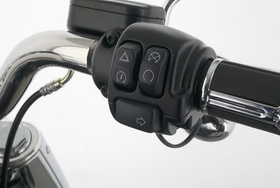 HARLEY DAVIDSON SOFTAIL FAT BOY 114