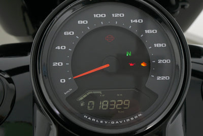 HARLEY DAVIDSON FAT BOY 114