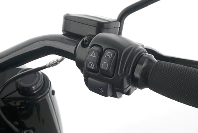 HARLEY DAVIDSON FAT BOY 114