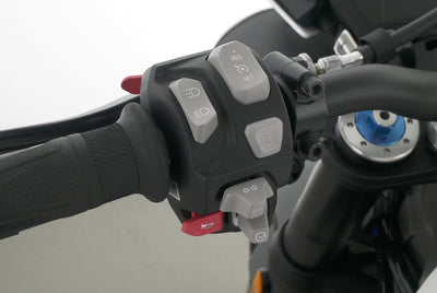 TRIUMPH SPEED TRIPLE 1050 RS