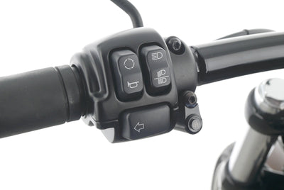 HARLEY DAVIDSON SOFTAIL BREAKOUT 114